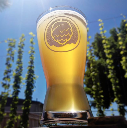 Bevel Half Pint Glass
