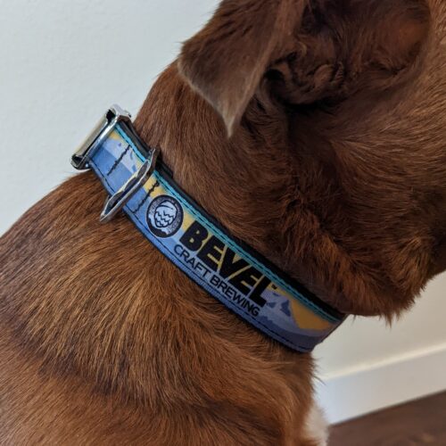 Bevel Dog Collar - Image 3