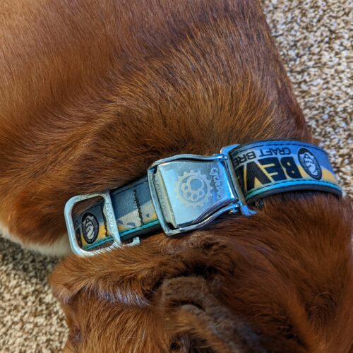 Bevel Dog Collar - Image 4