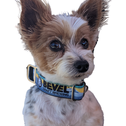 Bevel Dog Collar